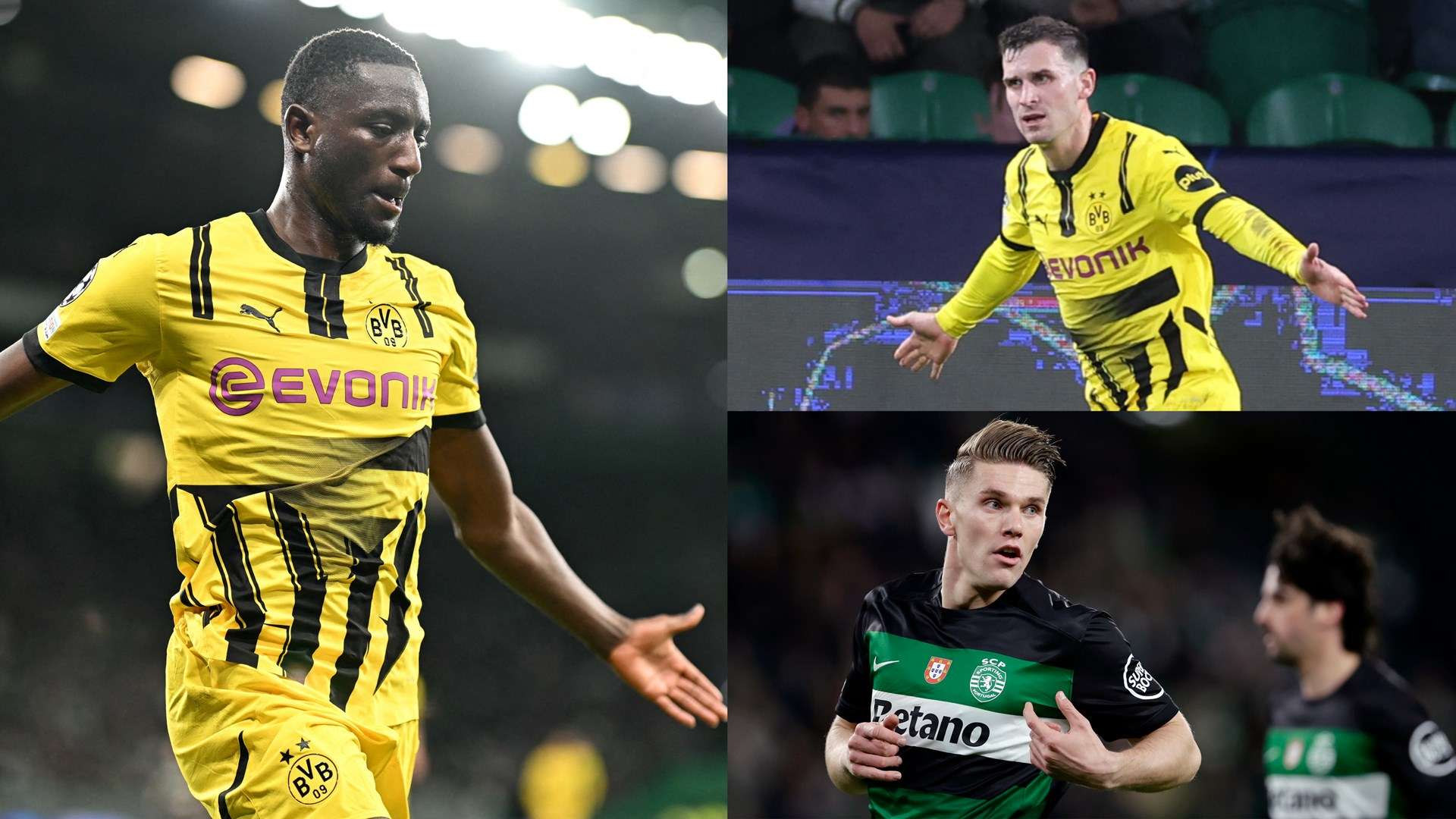 上的灵活性 上的灵活性