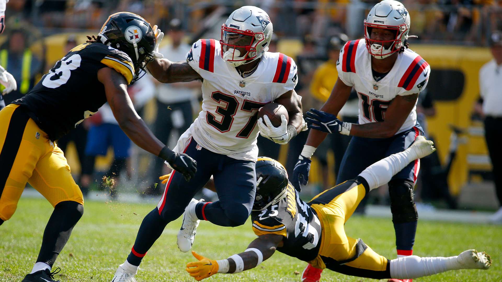 球队和球员 球队和球员