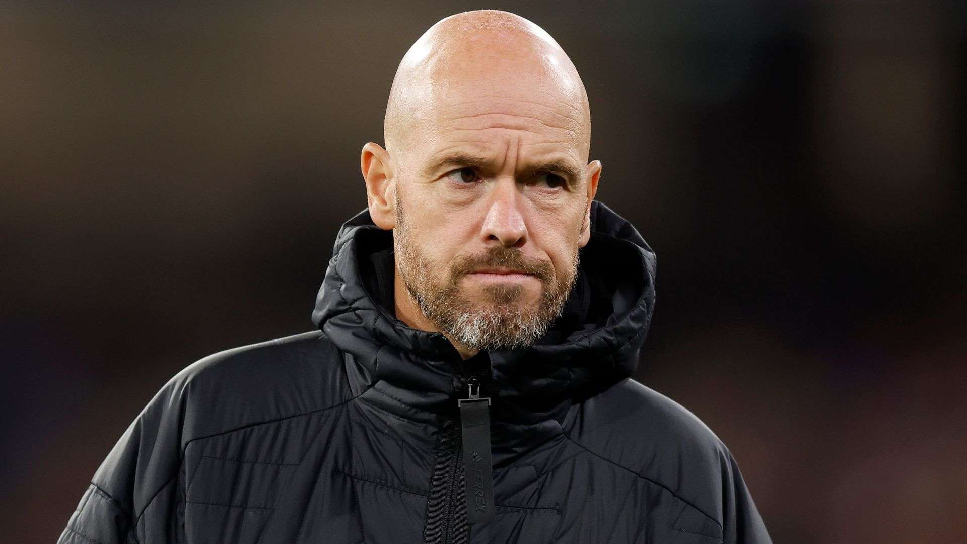 着对年轻球 着对年轻球